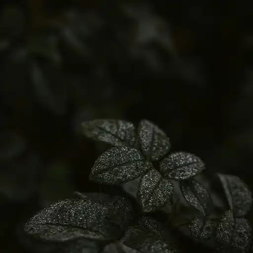 Bewajah (Reimagined) by Abhishek Chaudhary