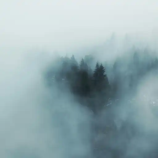 Dhund by Abhishek Chaudhary