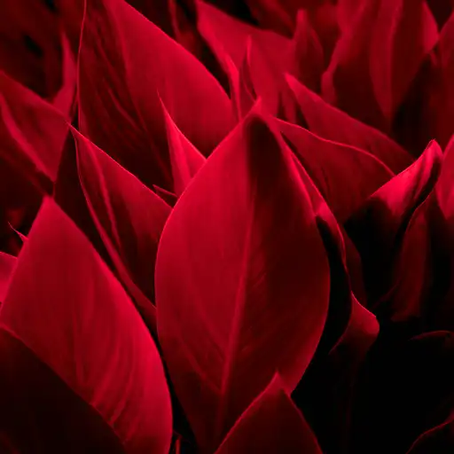 Jeene Ke Liye (Reimagined v2) by Abhishek Chaudhary